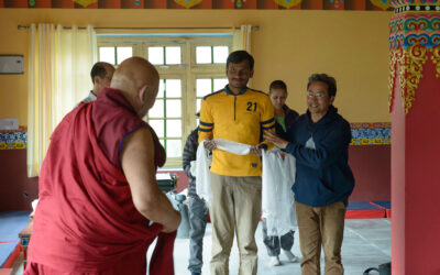 Wisdom Over Intelligence