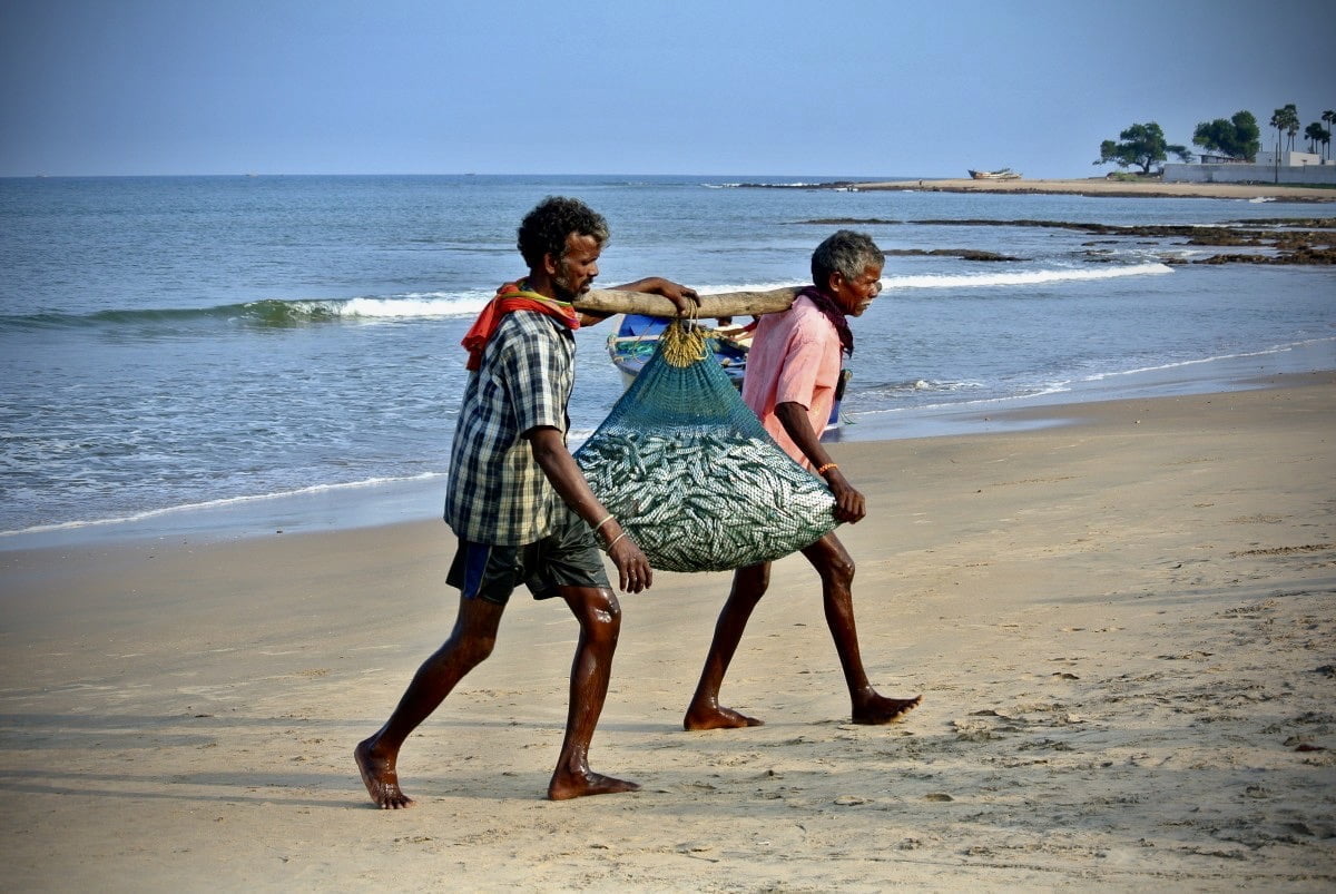 Is Environment A Labour Issue?