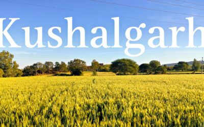 Families Migrating From Kushalgarh In Distress