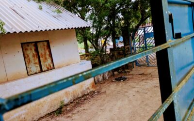 A Thousand Thoughts Of Ravi, A Rural Boy