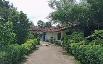 जानकी अम्मा – एक विश्वास और  उम्मीद