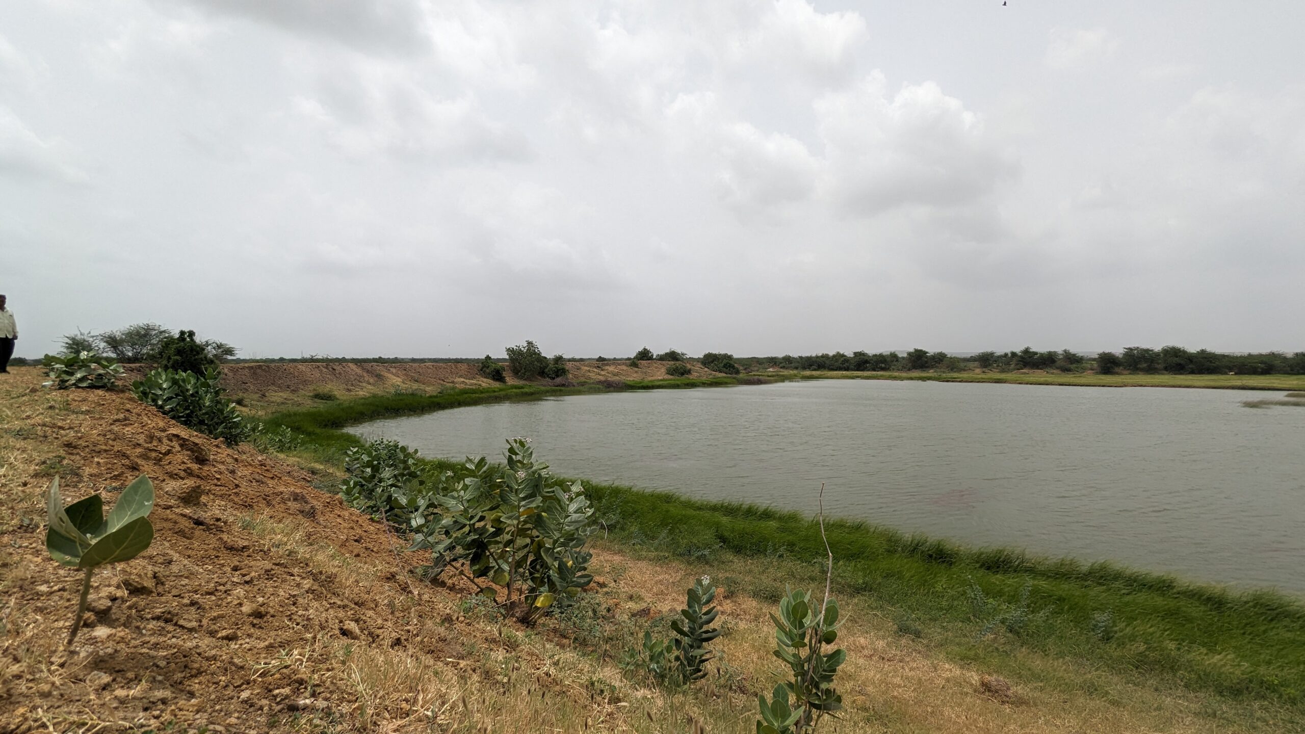 Village pond