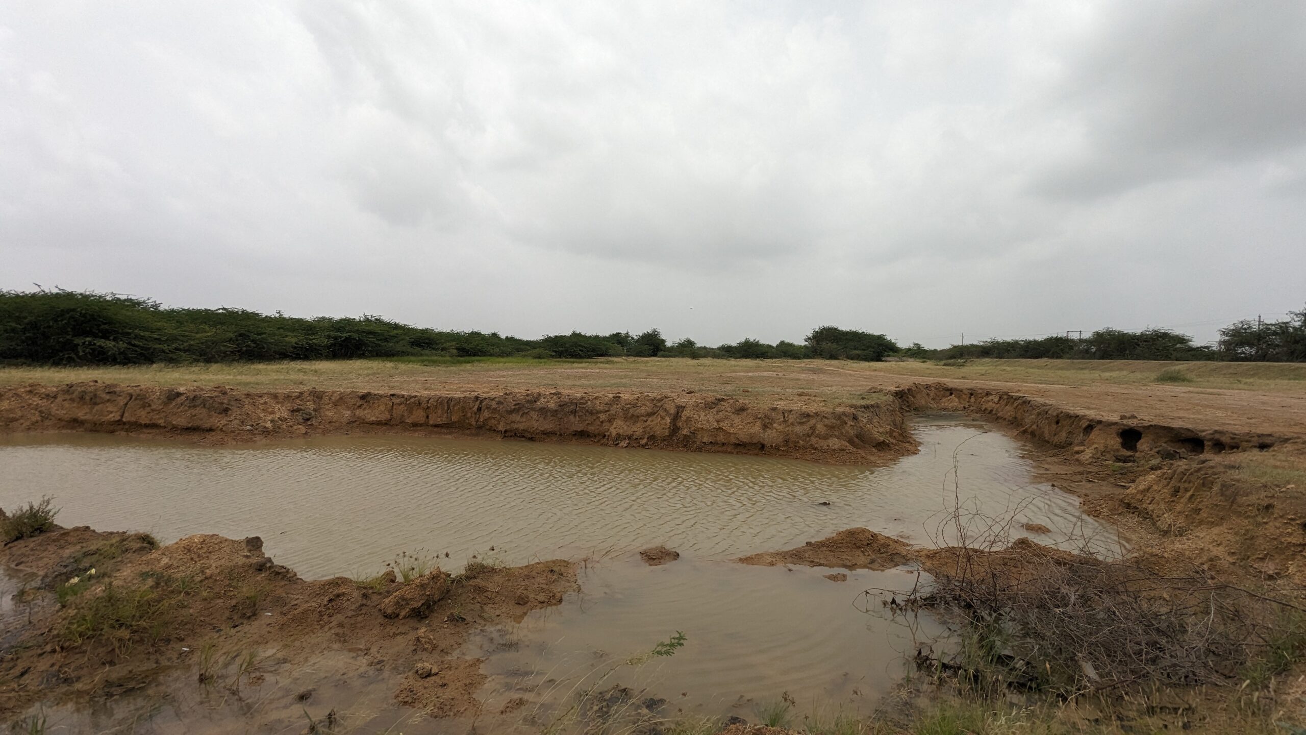 Village pond