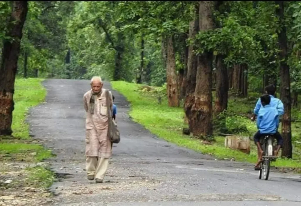 in the image Prof. P. D. Khera, an old and slender man is walking through a forest towards the camera, his face turned down. He is wearing a kurta-pyjama. Two yong people on cycle are on the other side of the road and going away from the camera.