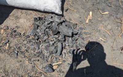 Kachchh’s Charcoal Journey: Realities And An Alternative