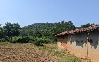 Where Is The Village Of My CBSE Textbook?