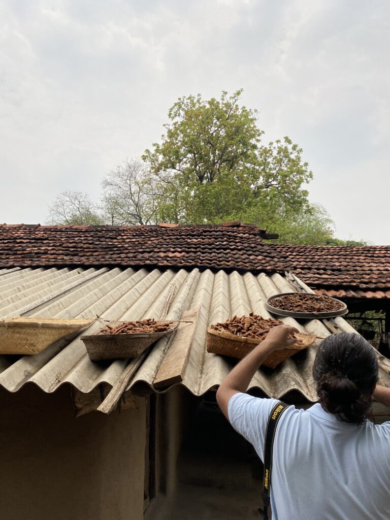 A mischievous man stealthily steals tamarind pods from the roof, adding a playful twist to the village's peaceful day.
