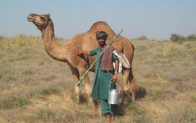 Understanding Carbon Credits: A Pathway To Climate Solutions