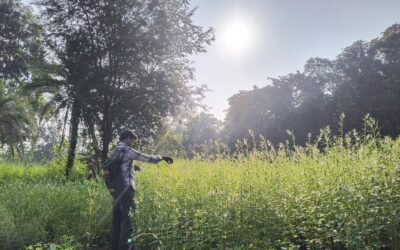 The Forest Trail To Lendra Village In South Chattisgarh