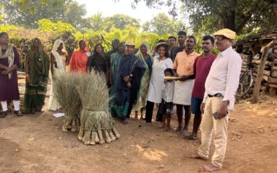 Finding Solace In Umaria