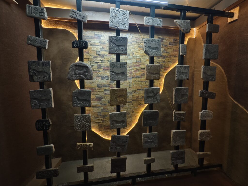 Image of multiple seals stacked