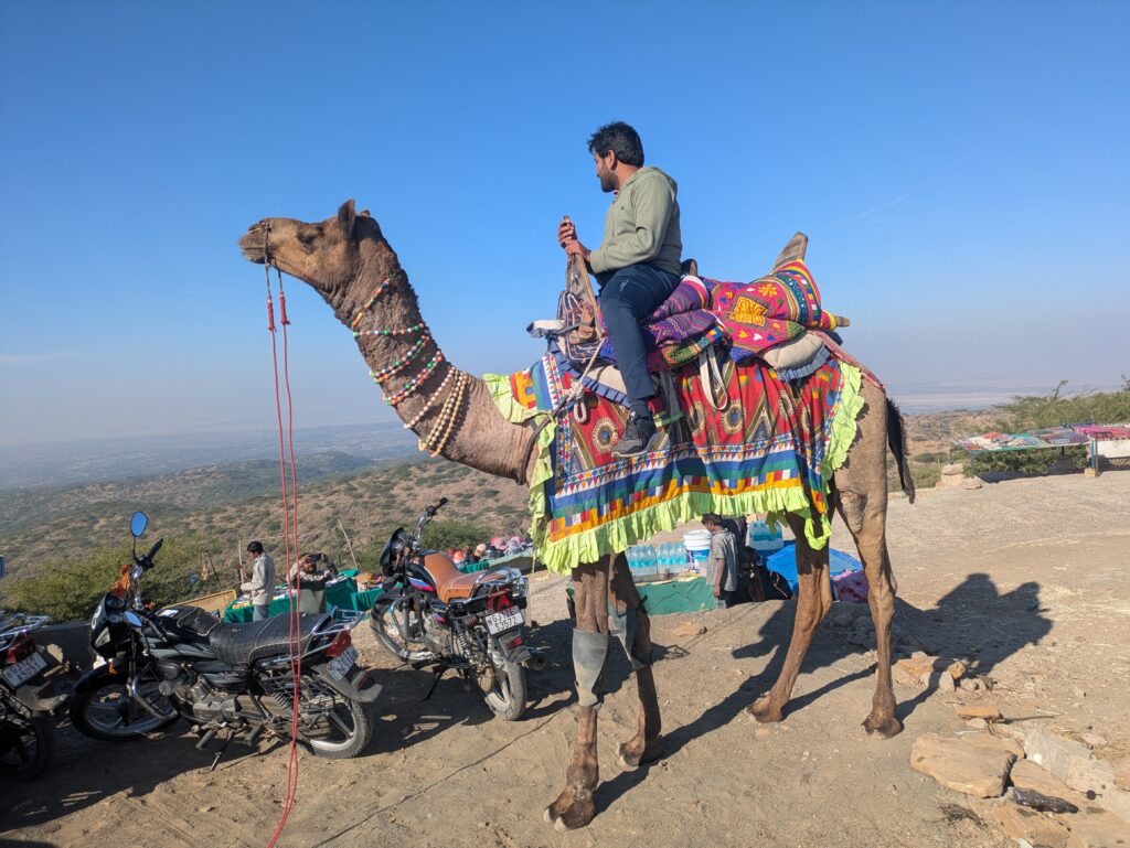 Rohan sits atop a camel with a colourful saddle.