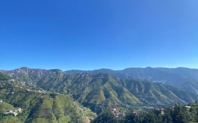 Changing Perspectives: How I Found Joy In Sustainability