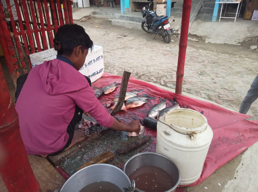 Image of a boy sitting on the ground and selling fish. He is scaling the fush using a pahsul (sickle- a traditional knife from Poorvanchal). He is sitting on a wooden board and there are dead fish in front of him. There's dirty water in two steel buckets and another container to his right as well.